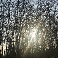 �������ݹ�԰ɽӣ��ȫ����