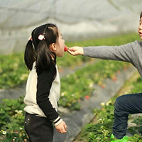 ��ĩ̤���ɷ磬����ժ��ݮ