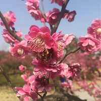 �����һ�ʢ���ĵط����кö�