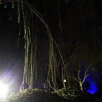 ���̣�ҡҷ��һ��ˮ