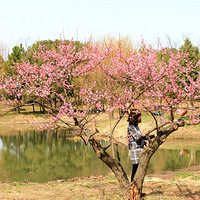 ����ֲ��԰��÷