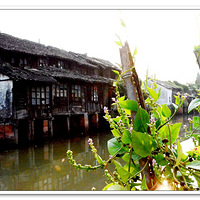     С����Ӱ��һ��  �� Ϧ�����±�÷Ϫ ���� ��