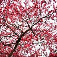 ����֪�����ù飬�ٰ���϶����ơ��������