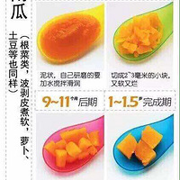 ��ʳ����֮һ