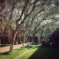 �����������޵�Ժ