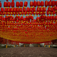 ͩ���Ժ�㺣�����������