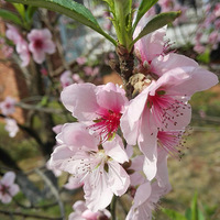 ��ů����