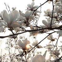 ��������,������𥣬��Ө����������!!