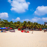 ���ĸ��������������У�