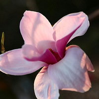 ������ ����������߽ࡢ�ҷ�������İ�