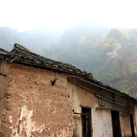 ����ƽˮ���������