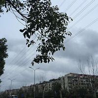 ��ζ----ֻΪ���롰�Դס��Ķ���