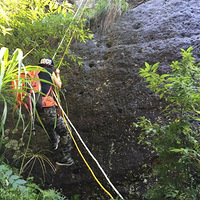 ͽ���²�ˮţ����������ɽ�ͼ�Ŀ���