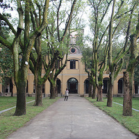 �����������޵�Ժ��