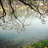 ��������̫���� ������̺������飡