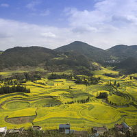 ������ƽ�Ͳ˻���