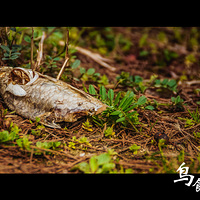 ȥʪ�ع�԰���˹�������Щ���...