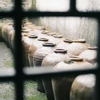 �����е�������������˵���Ǹ���