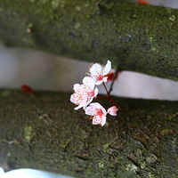 �������յ����ѡ��