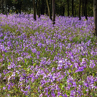 �紺���»����ޡ�����