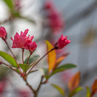 �һ�����������