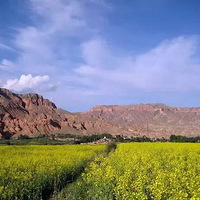 �й������� ���ٲ�ȥ�����ˣ�������ȥ����2��