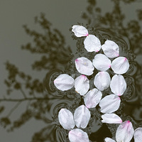 ��ӣ��ˮ��Ȼ��������