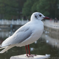 �������Ÿ���������й� ������