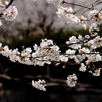 ӣ��������ʱ��