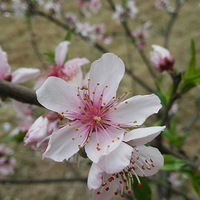 ���ֵ��ͻ�æ