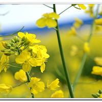     ��  �Ͳ˻��� ���� �� ���͵ķ������æ����