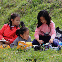 Ϊ���Ƕ�仨��--���յ�ֲ��԰