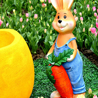 ���й��ʵ�������