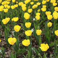 ��������ʱ