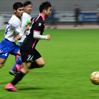 ���ݸ�������