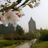 ͩ��ֲ��԰������Ŷ��