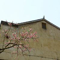 �һ�������ķ�²