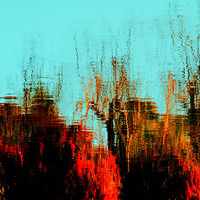 �����ݲݣ�֦֦ҶҶ