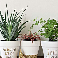 ���������...��...��...��...�