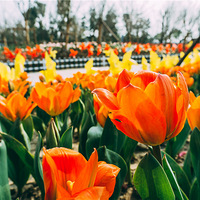 �����循�����Ԫ�������Χ��