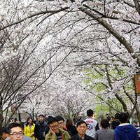 ������԰��ů����