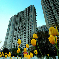 ���й���������