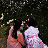 ѧԺ������̤��