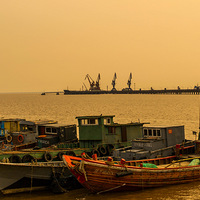 ��ů�������泯��----��ɽ��԰������