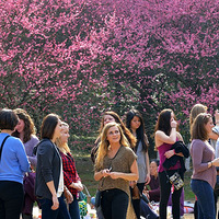 �����˿����硷���컨�Ὺ