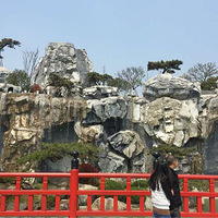 ������������