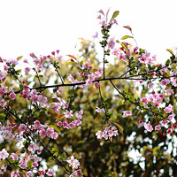 ��һ��������ϲ����