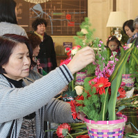 ������԰ ʫ�黨�� ʢ����ͥDIY�廨����־���