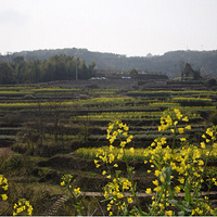 �˻������������׻�