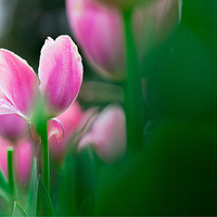 һĨ���⡭��